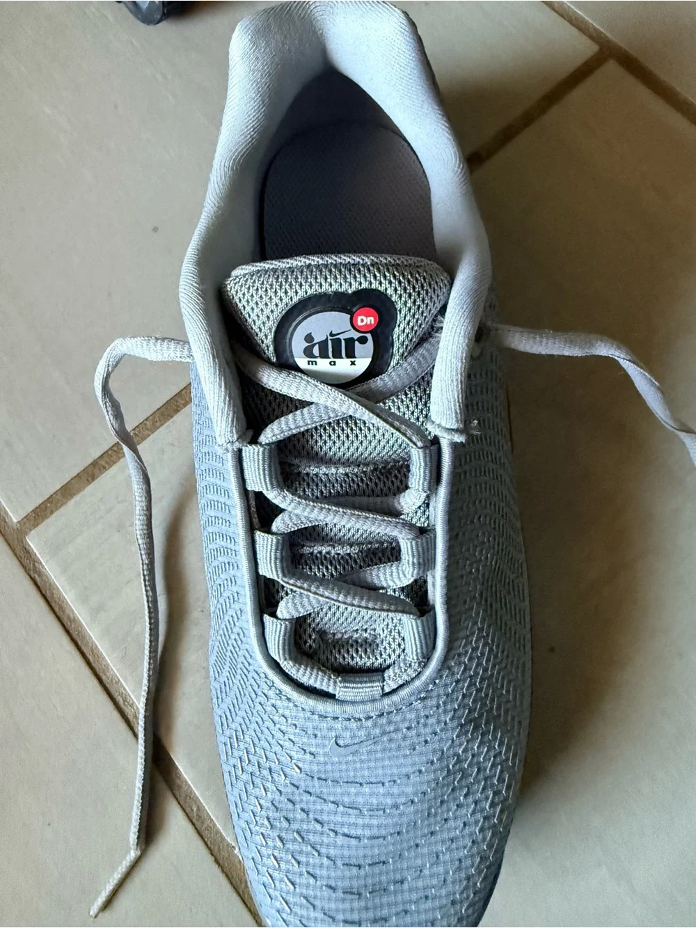 Nike Air Max Dn Big Kids' Shoes